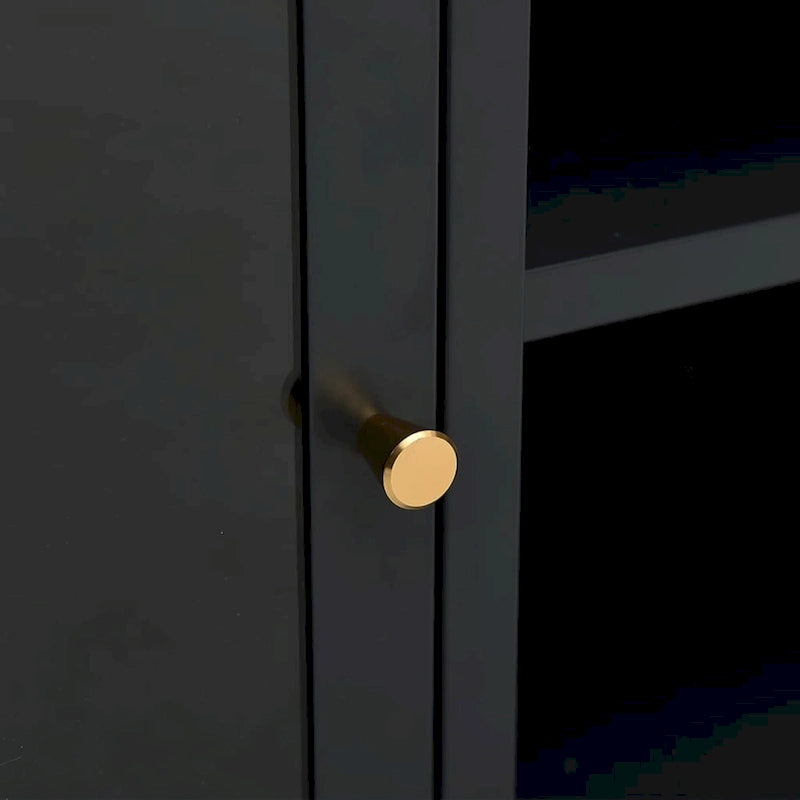 Meuble TV Cadre en acier noir Portes en verre trempé Étagère réglable 105 x 35 x 52 cm